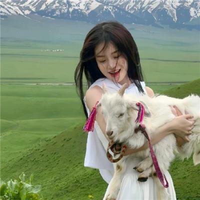 我的野蛮女掌门